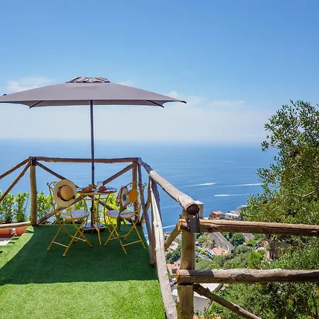 De Vivo Realty - Boscosfera *