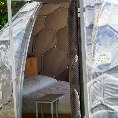 Luxe tent De Vivo Realty - Boscosfera