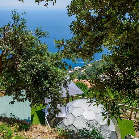 De Vivo Realty - Boscosfera Luxe tent *