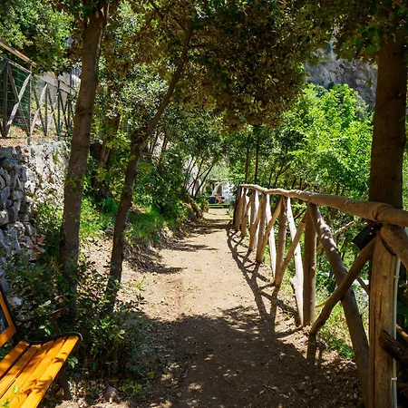 De Vivo Realty - Boscosfera Luxury tent