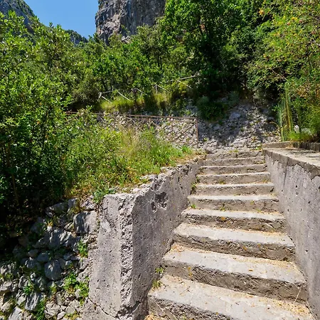De Vivo Realty - Boscosfera Luxe tent Amalfi