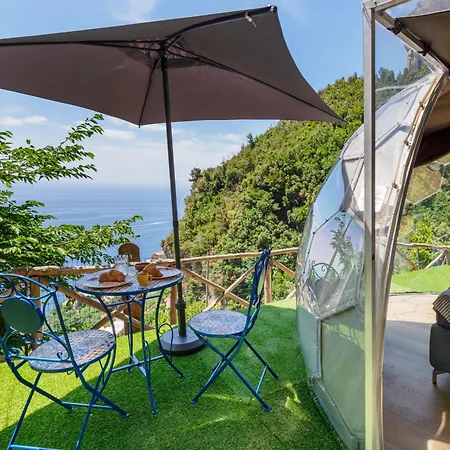 De Vivo Realty - Boscosfera *